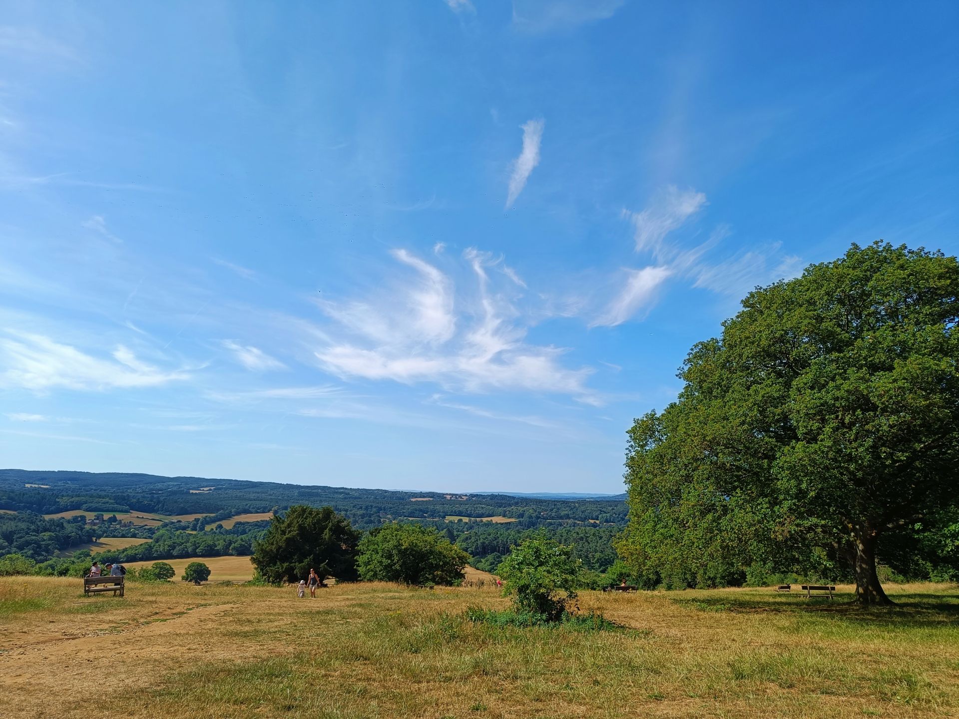 Newlands Corner